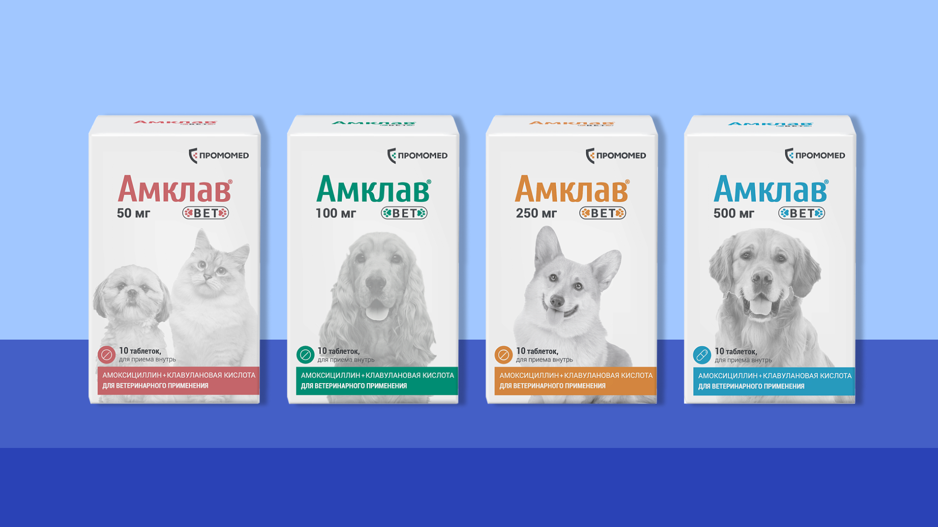 Российская наука для хвостиков: как Амклав®Вет помогает животным победить инфекции